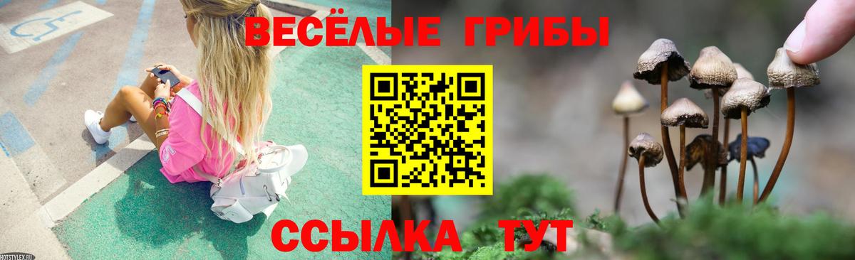 Галлюциногенные грибы MAGIC MUSHROOMS  Вход с VPN  Электросталь 